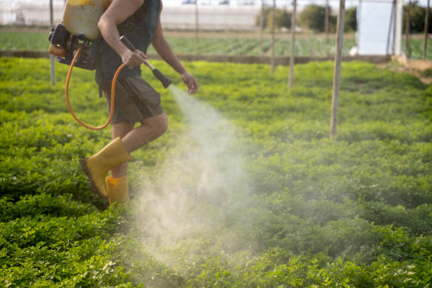 Best Affordable Pest Control Services  in Cudahy, WI