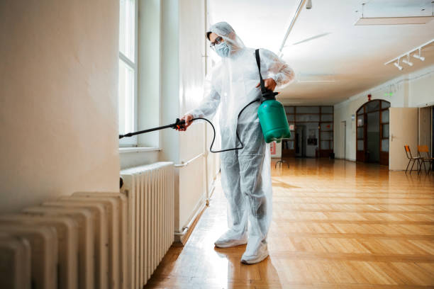 Best Flea Control Services  in Cudahy, WI